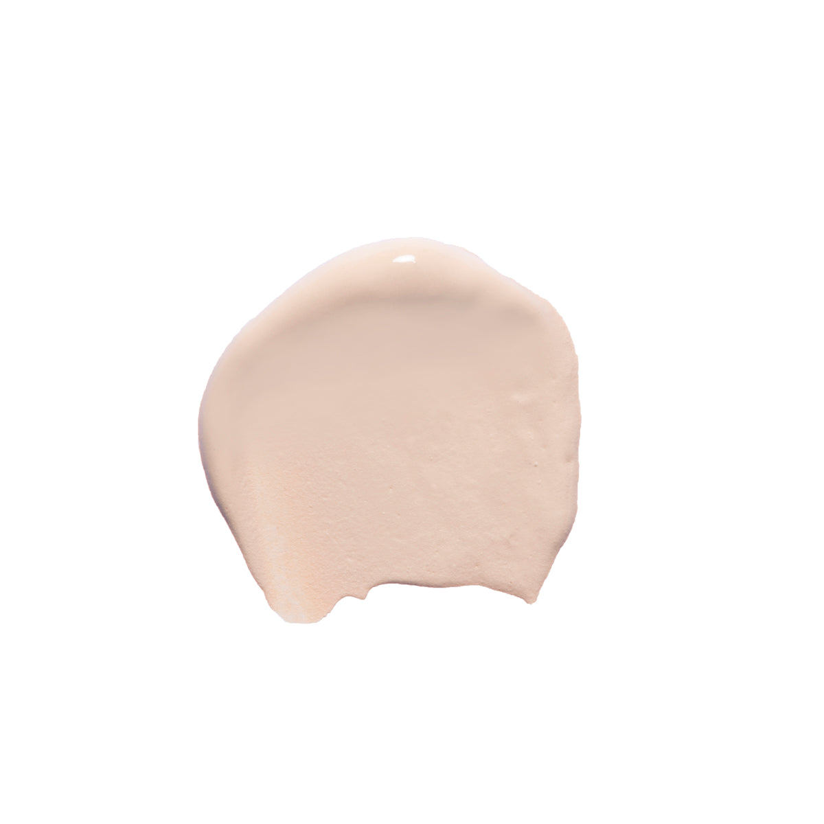 Fluid Concealer - C1