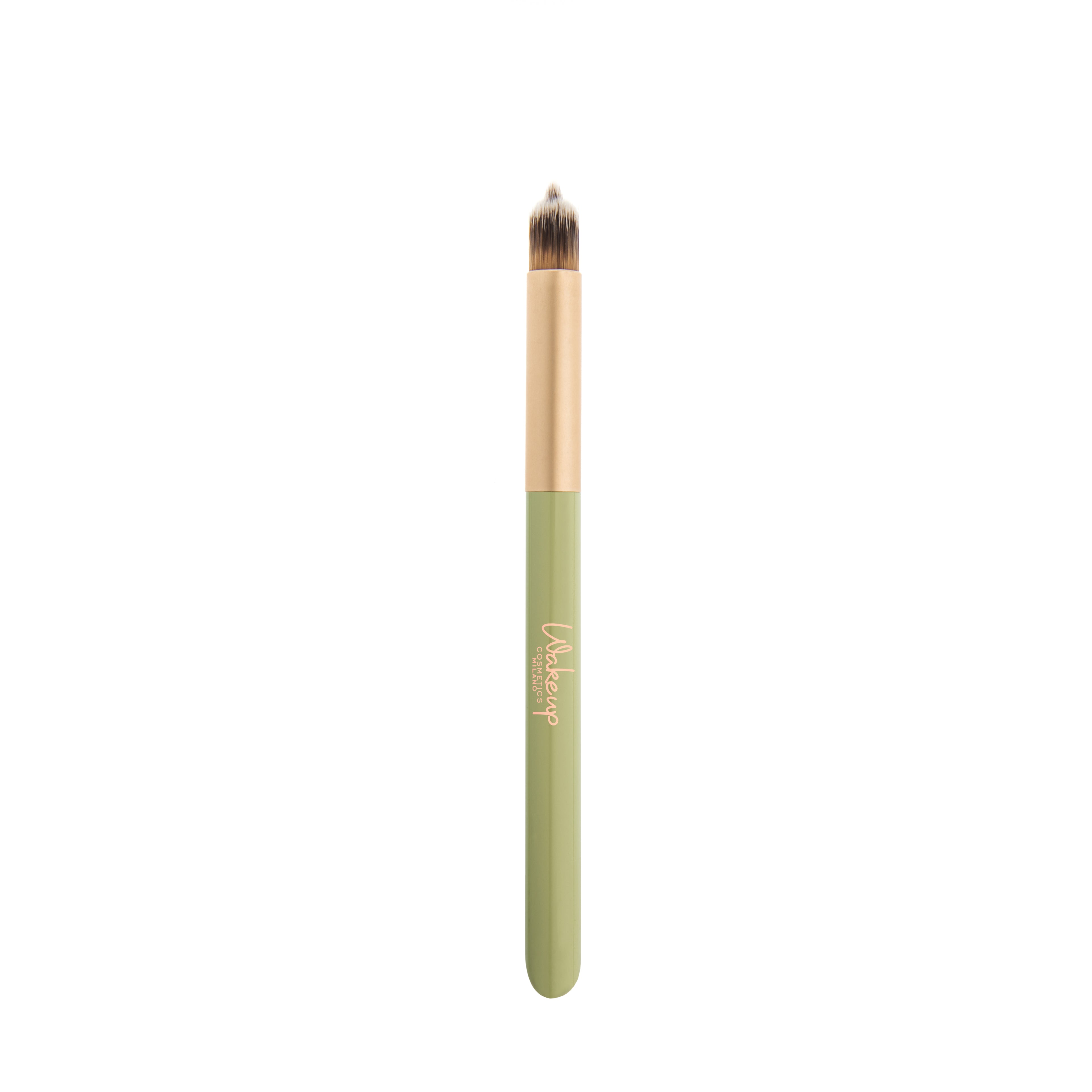 Tip and blend make up brushes - lip